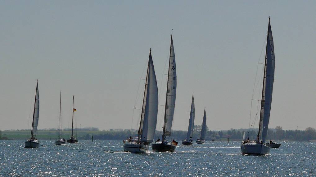 Segeln auf dem Strelasund