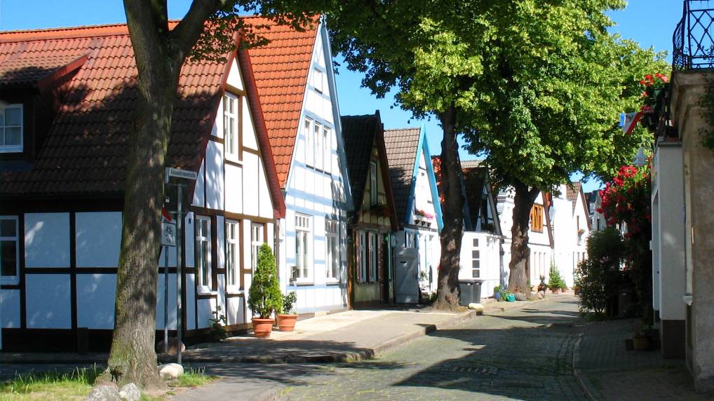 Alexandrinestrae