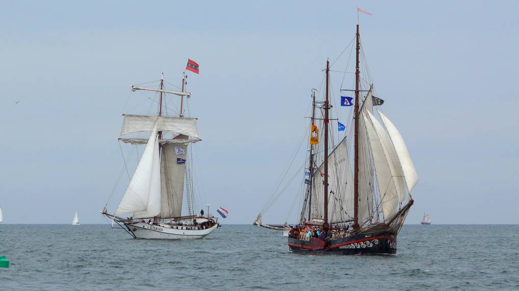 Hansesail 2010