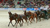 Redefiner Hengstparade 2009