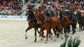 Redefiner Hengstparade 2009