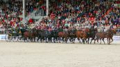 Redefiner Hengstparade 2009