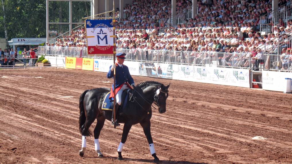 Redefiner Hengstparade 2006