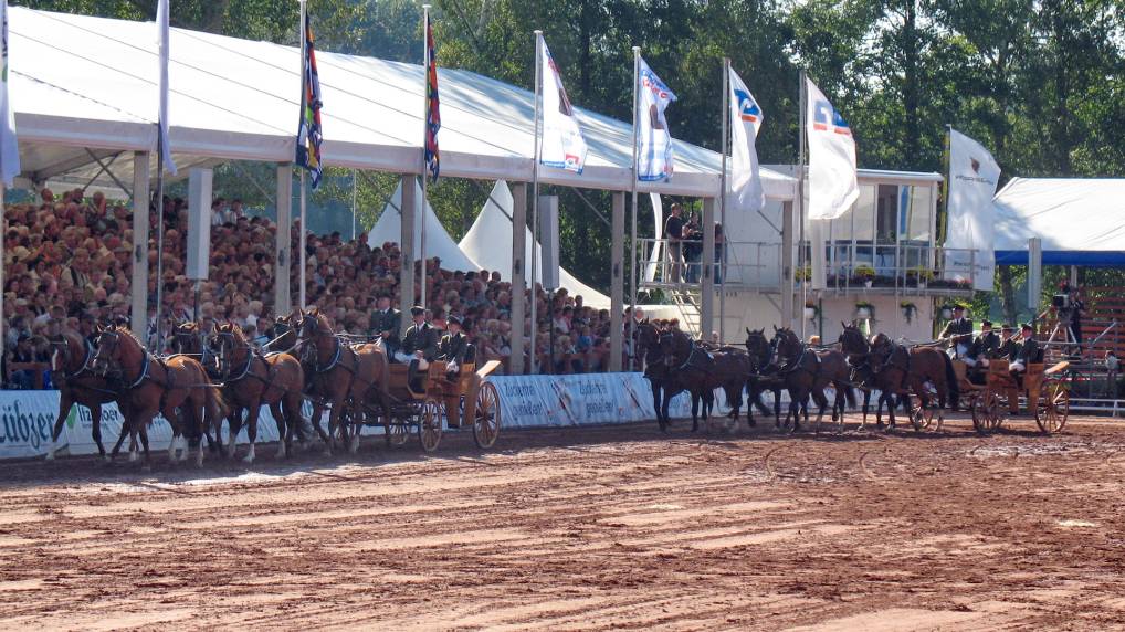 Redefiner Hengstparade 2006