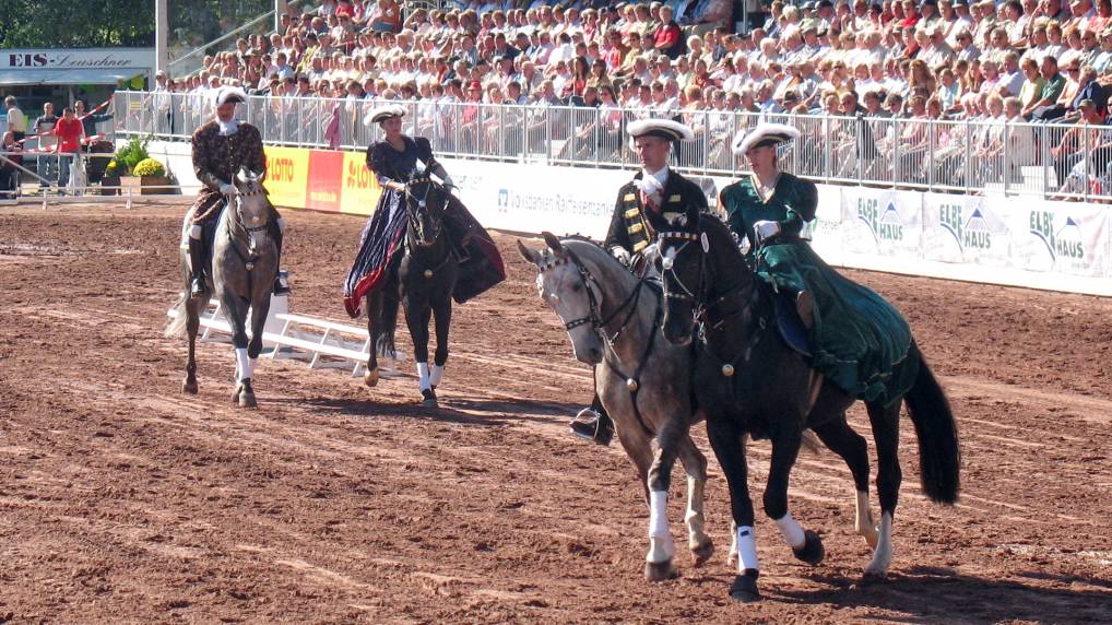 Redefiner Hengstparade 2006