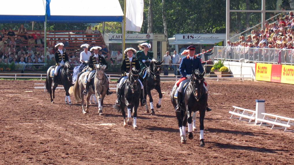 Redefiner Hengstparade 2006