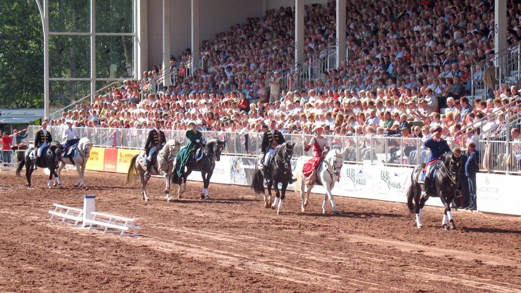 Redefiner Hengstparade 2006