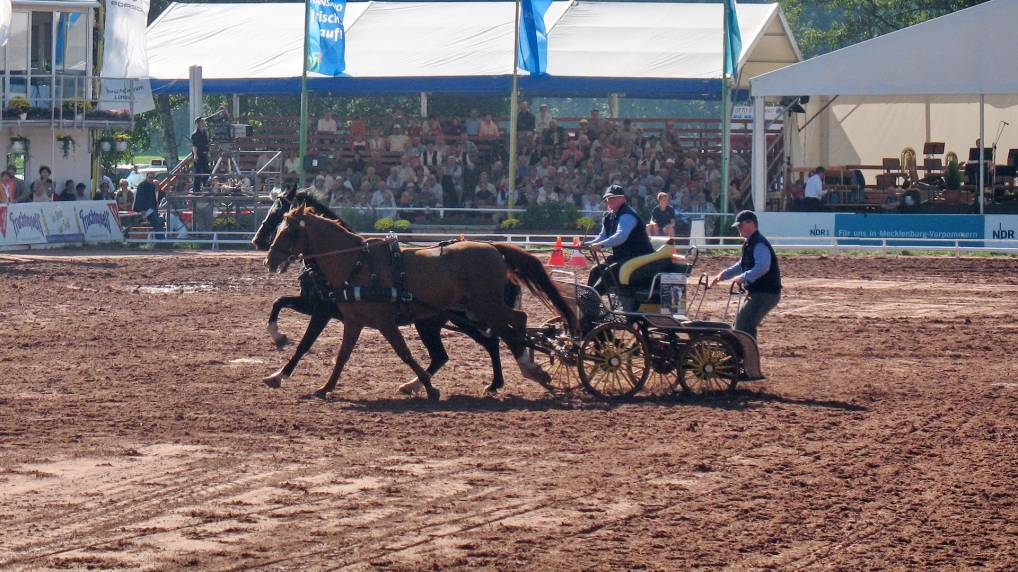 Redefiner Hengstparade 2006