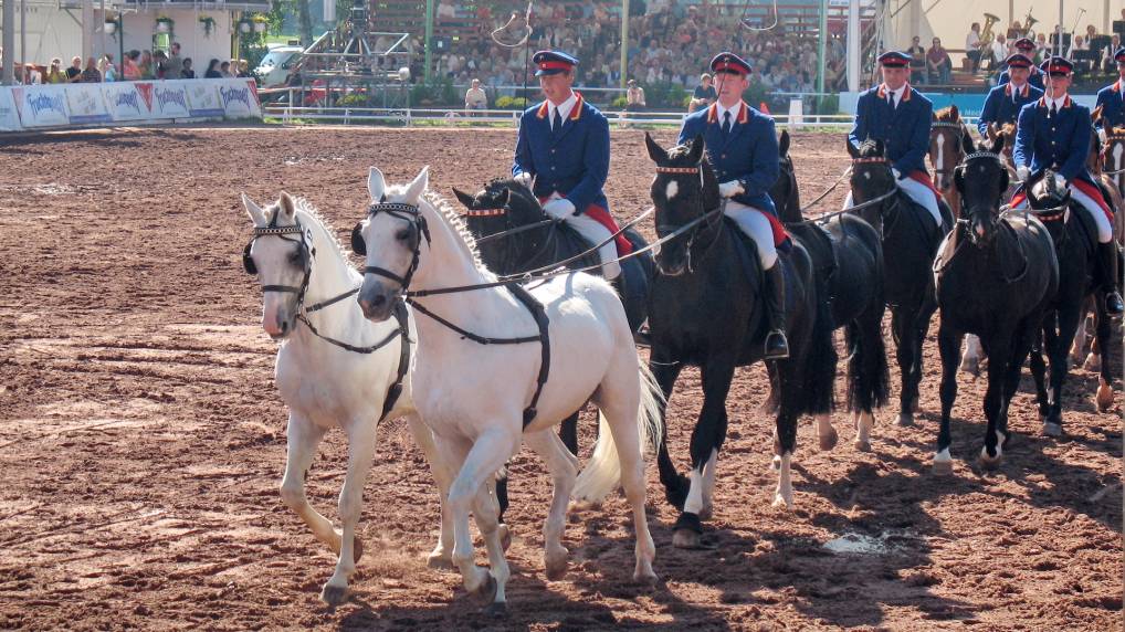 Redefiner Hengstparade 2006