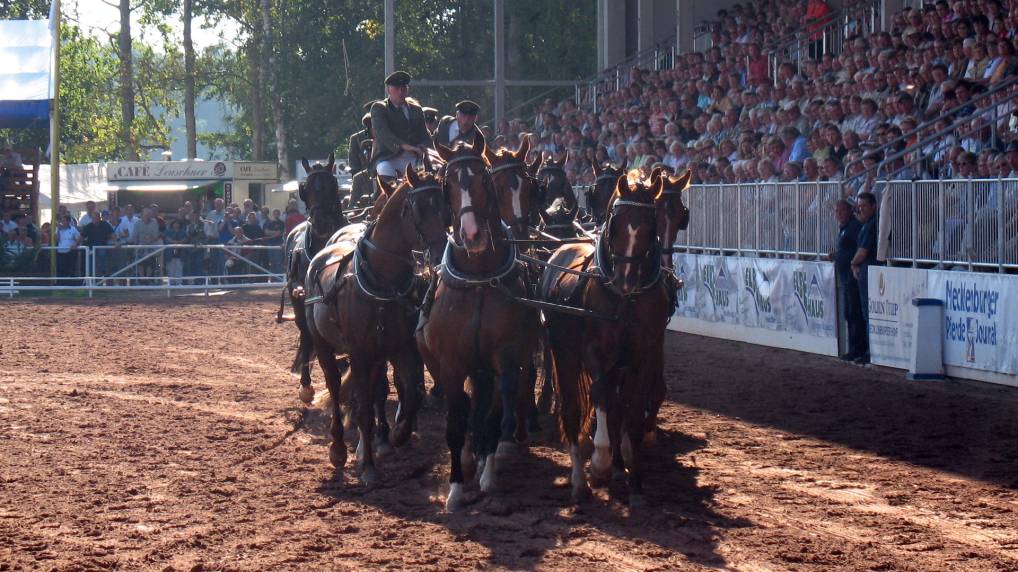 Redefiner Hengstparade 2006