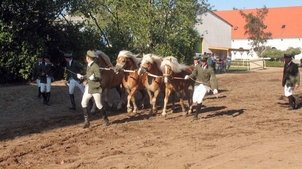 Redefiner Hengstparade 2006