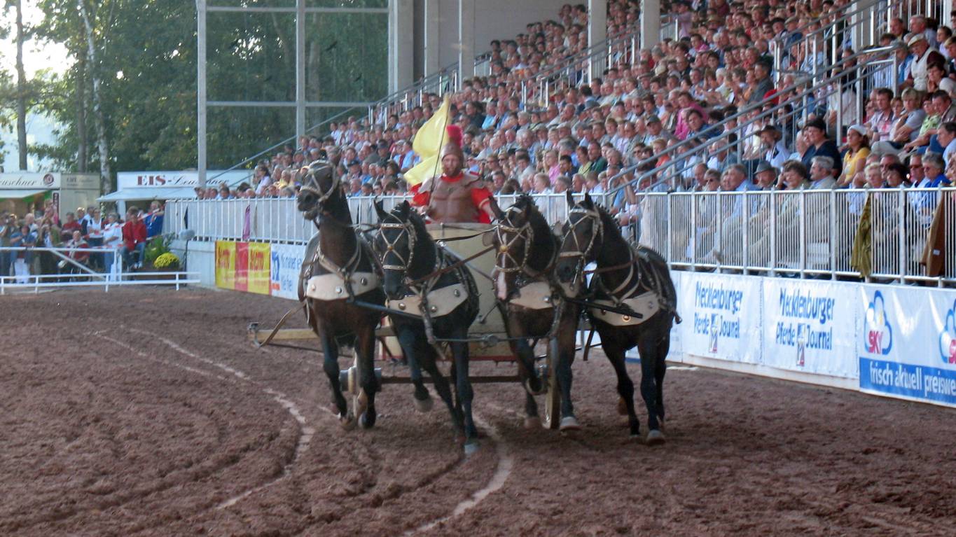 Redefiner Hengstparade 2006