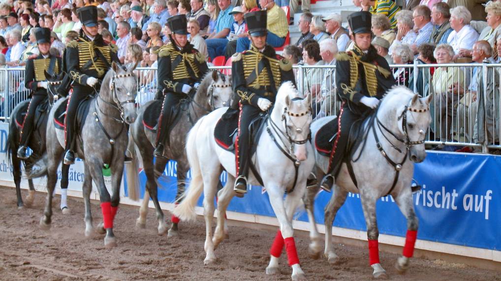 Redefiner Hengstparade 2006