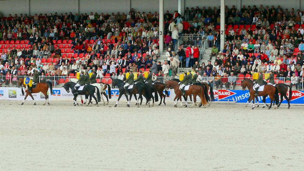 Redefiner Hengstparade 2009