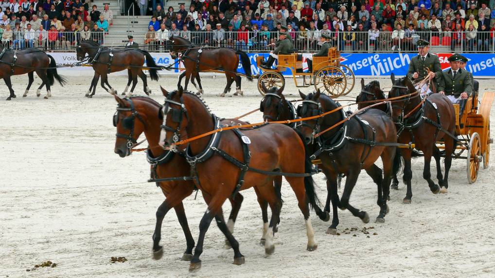 Redefiner Hengstparade 2009