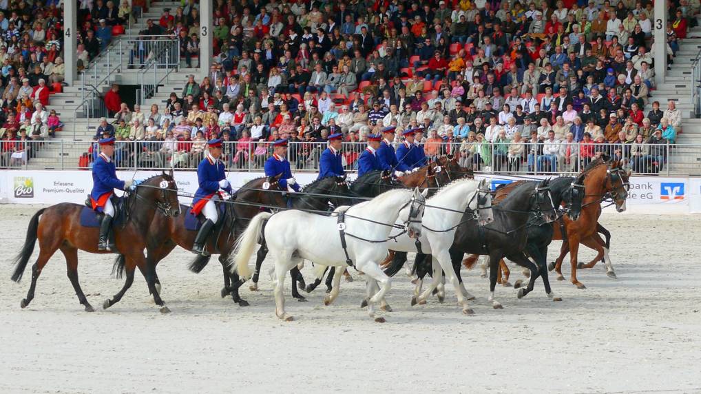 Redefiner Hengstparade 2009