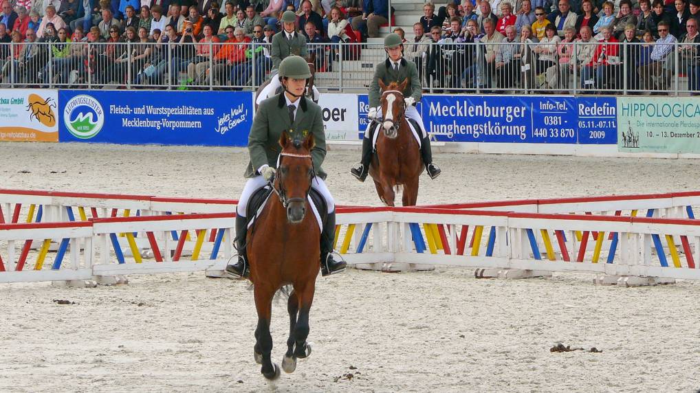 Redefiner Hengstparade 2009