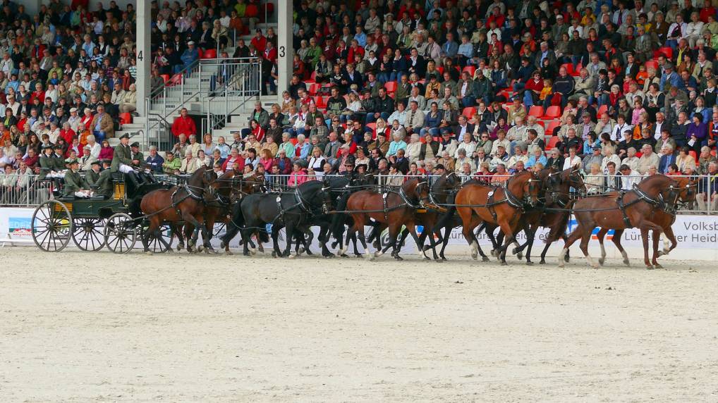 Redefiner Hengstparade 2009