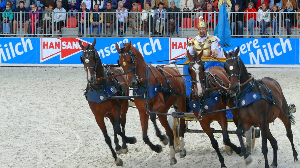 Redefiner Hengstparade 2009