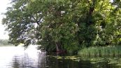 Dolgener See