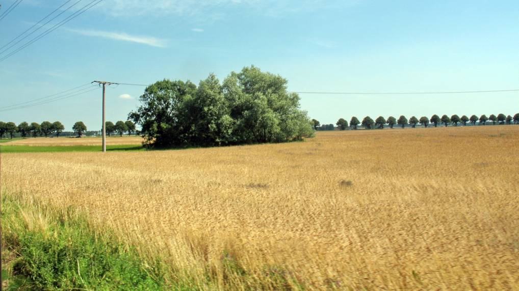 Mecklenburg Landschaft