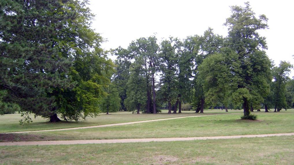 Park von sans souci