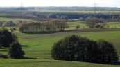 Rostocker Schweiz - Naturschutzgebiet Ksterbeck