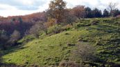 Rostocker Schweiz - Naturschutzgebiet Ksterbeck