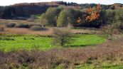 Rostocker Schweiz - Naturschutzgebiet Ksterbeck