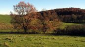 Rostocker Schweiz - Naturschutzgebiet Ksterbeck