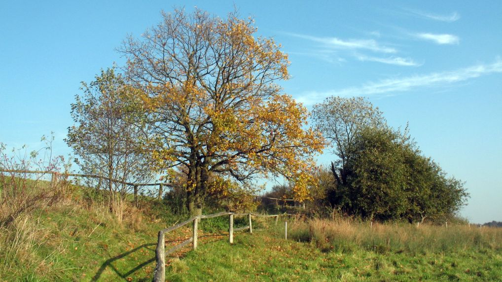 Rostocker Schweiz - Naturschutzgebiet Ksterbeck