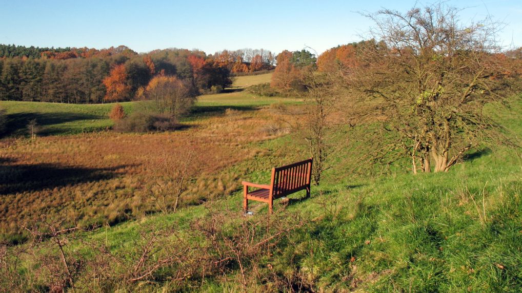 Rostocker Schweiz - Naturschutzgebiet Ksterbeck