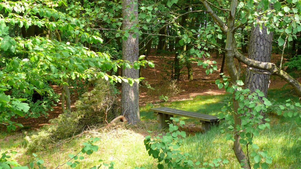 Rostocker Schweiz - Naturschutzgebiet Ksterbeck