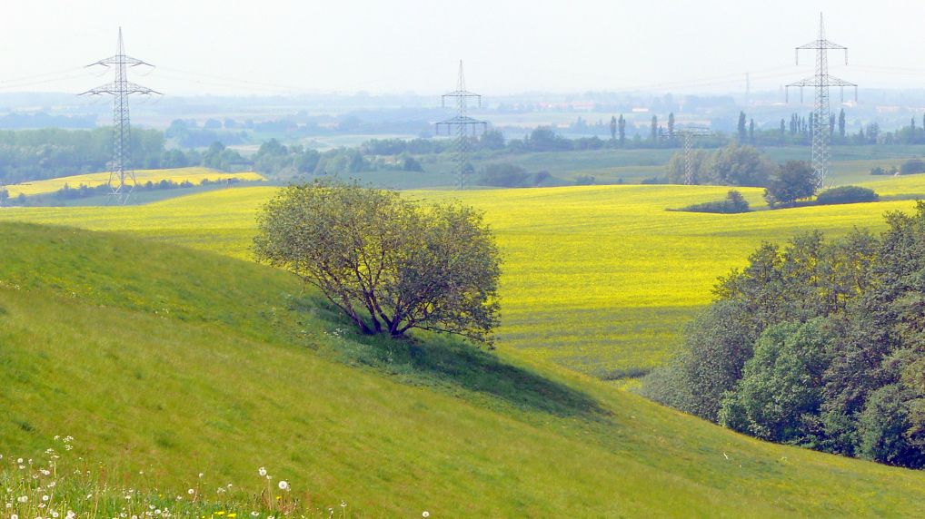 Rostocker Schweiz - Naturschutzgebiet Ksterbeck