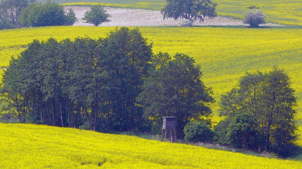 Rostocker Schweiz - Naturschutzgebiet Ksterbeck