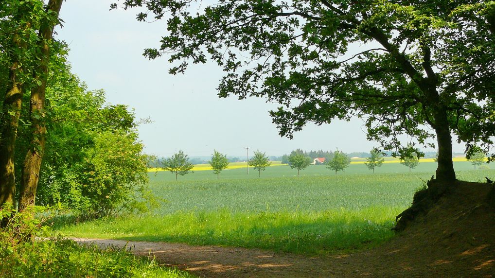 Rostocker Schweiz - Naturschutzgebiet Ksterbeck