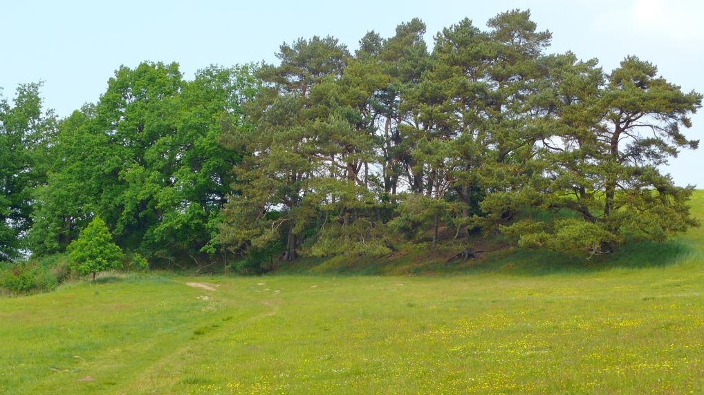 Rostocker Schweiz - Naturschutzgebiet Ksterbeck