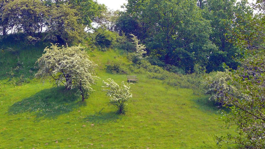 Rostocker Schweiz - Naturschutzgebiet Ksterbeck