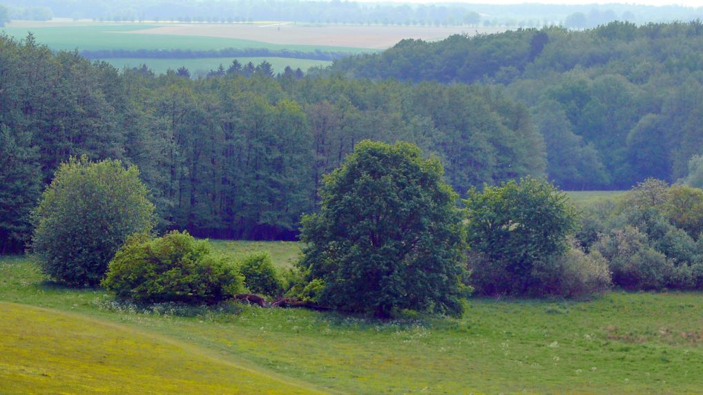 Rostocker Schweiz - Naturschutzgebiet Ksterbeck