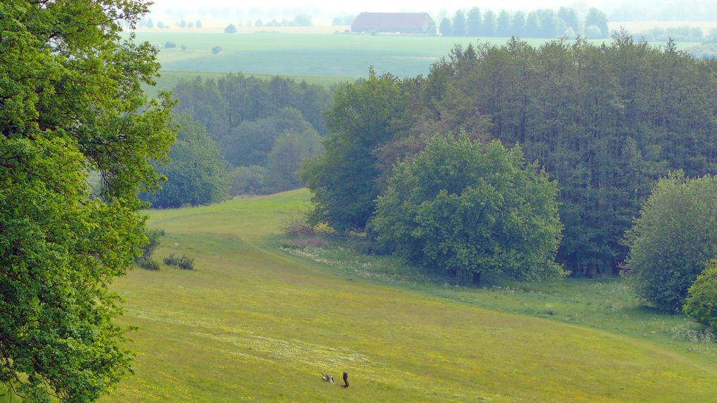 Rostocker Schweiz - Naturschutzgebiet Ksterbeck