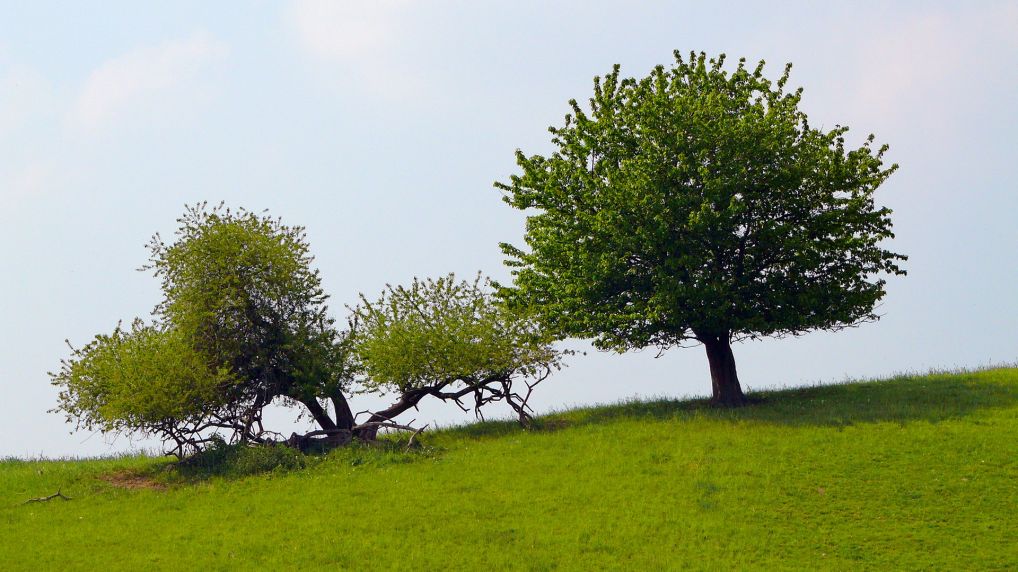 Rostocker Schweiz - Naturschutzgebiet Ksterbeck