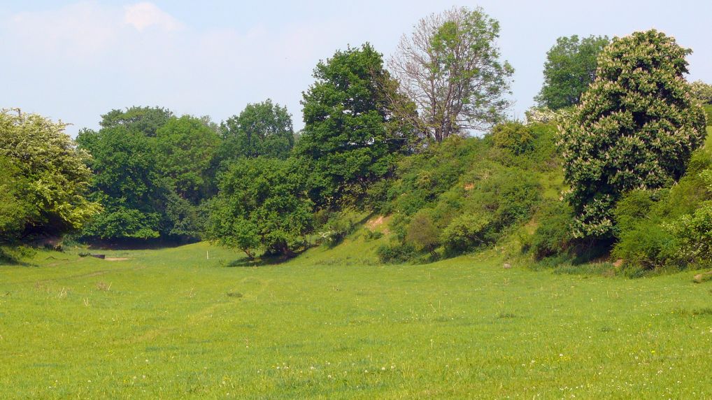 Rostocker Schweiz - Naturschutzgebiet Ksterbeck