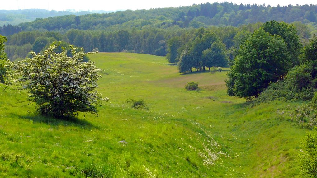 Rostocker Schweiz - Naturschutzgebiet Ksterbeck