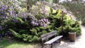 Rhododendron-Park