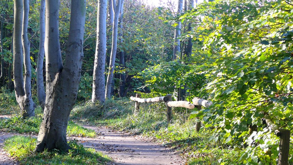 Ostseebad Nienhagen