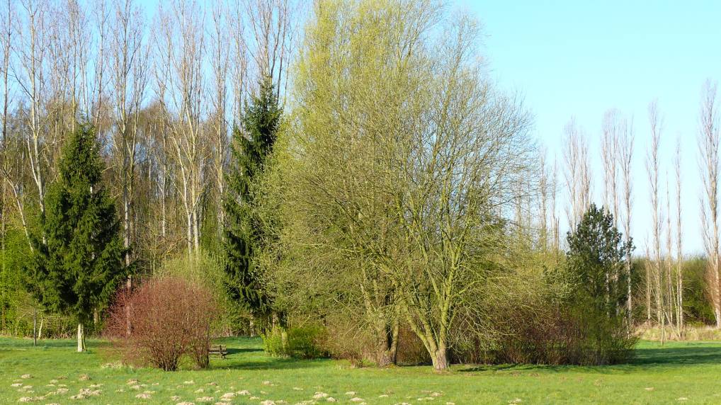 Park am Fischerdorf