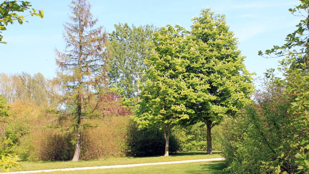 Park am Fischerdorf