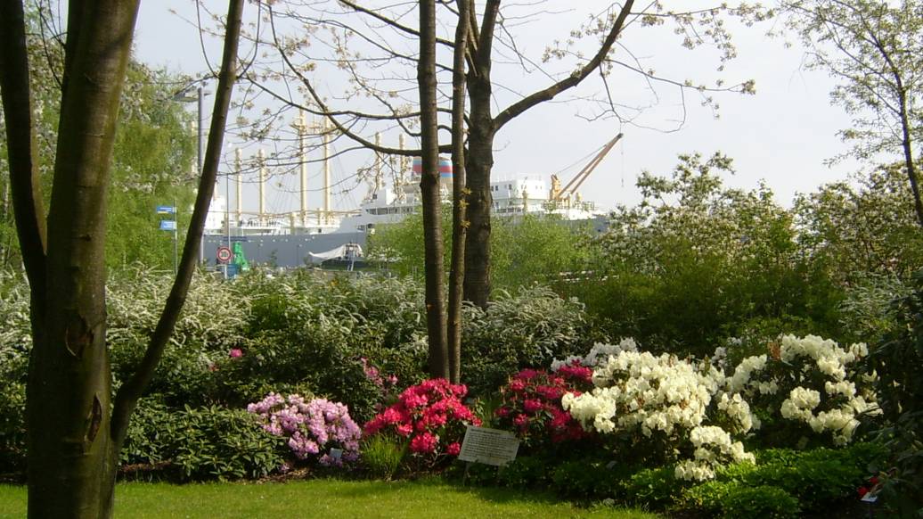  IGA - Park