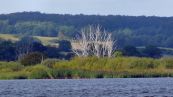 Rund um den Kummerower See