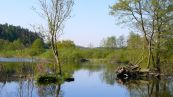 Peene und Kummerower See